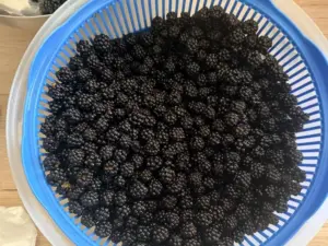 more fresche saporido