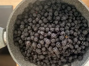 more per marmellata saporido